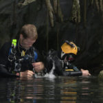 Mark Wenner and Forrest Wilson